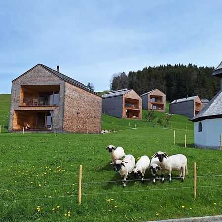 Apartment Rheintal Im Alpenvorland Batschuns エクステリア 写真