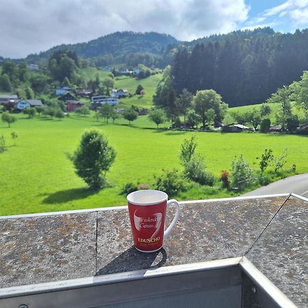 Apartment Rheintal Im Alpenvorland Batschuns エクステリア 写真