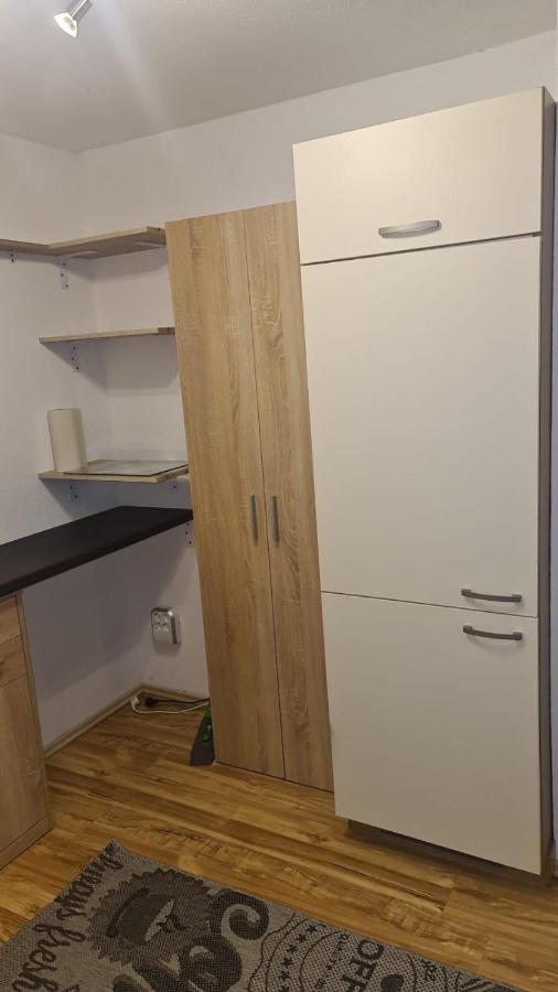 Apartment Rheintal Im Alpenvorland Batschuns エクステリア 写真