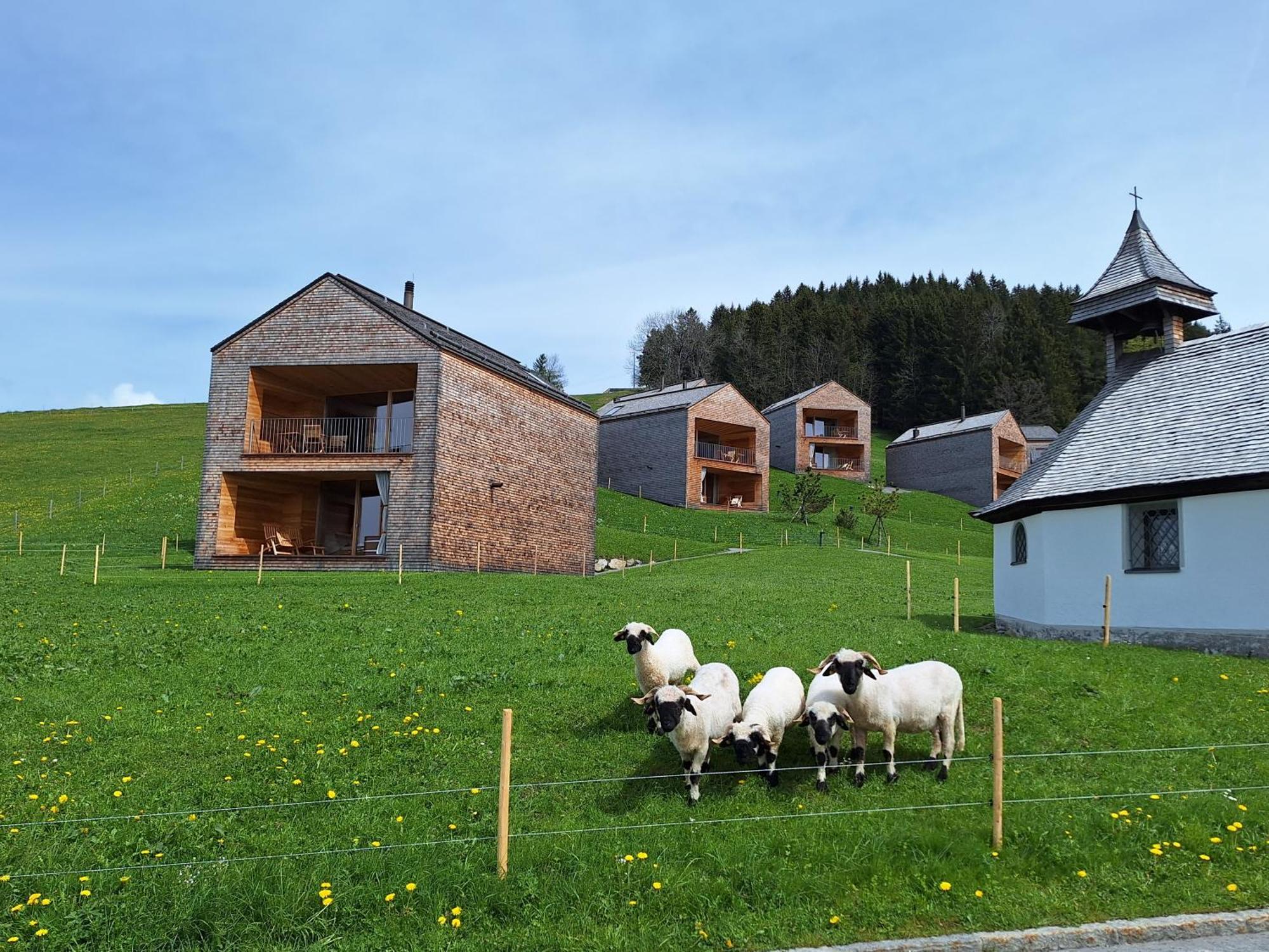 Apartment Rheintal Im Alpenvorland Batschuns エクステリア 写真