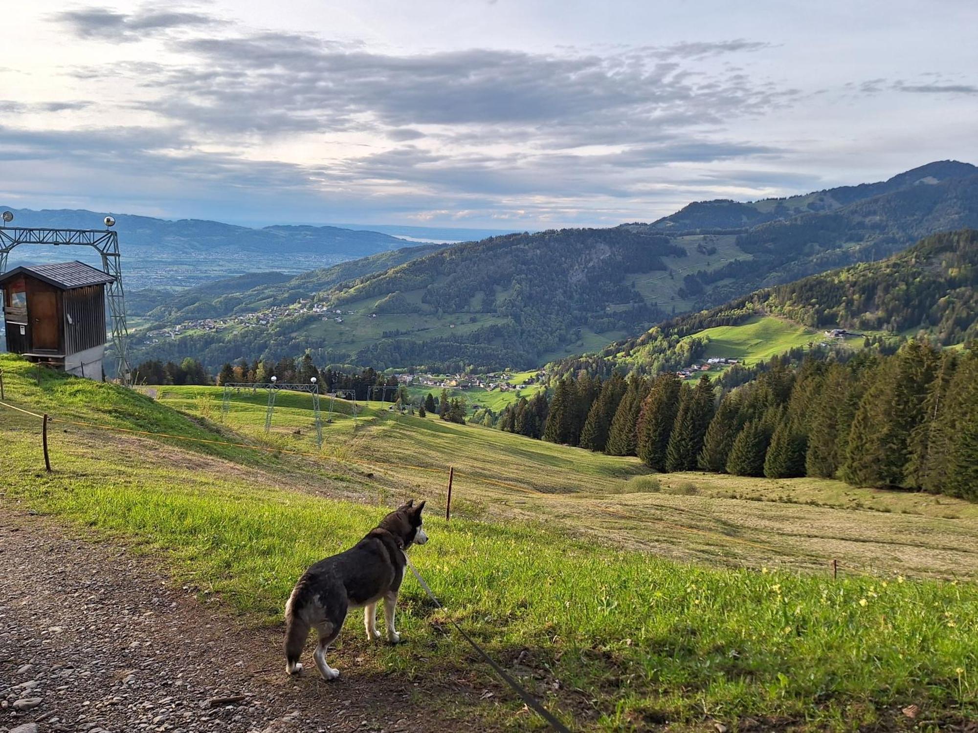 Apartment Rheintal Im Alpenvorland Batschuns エクステリア 写真