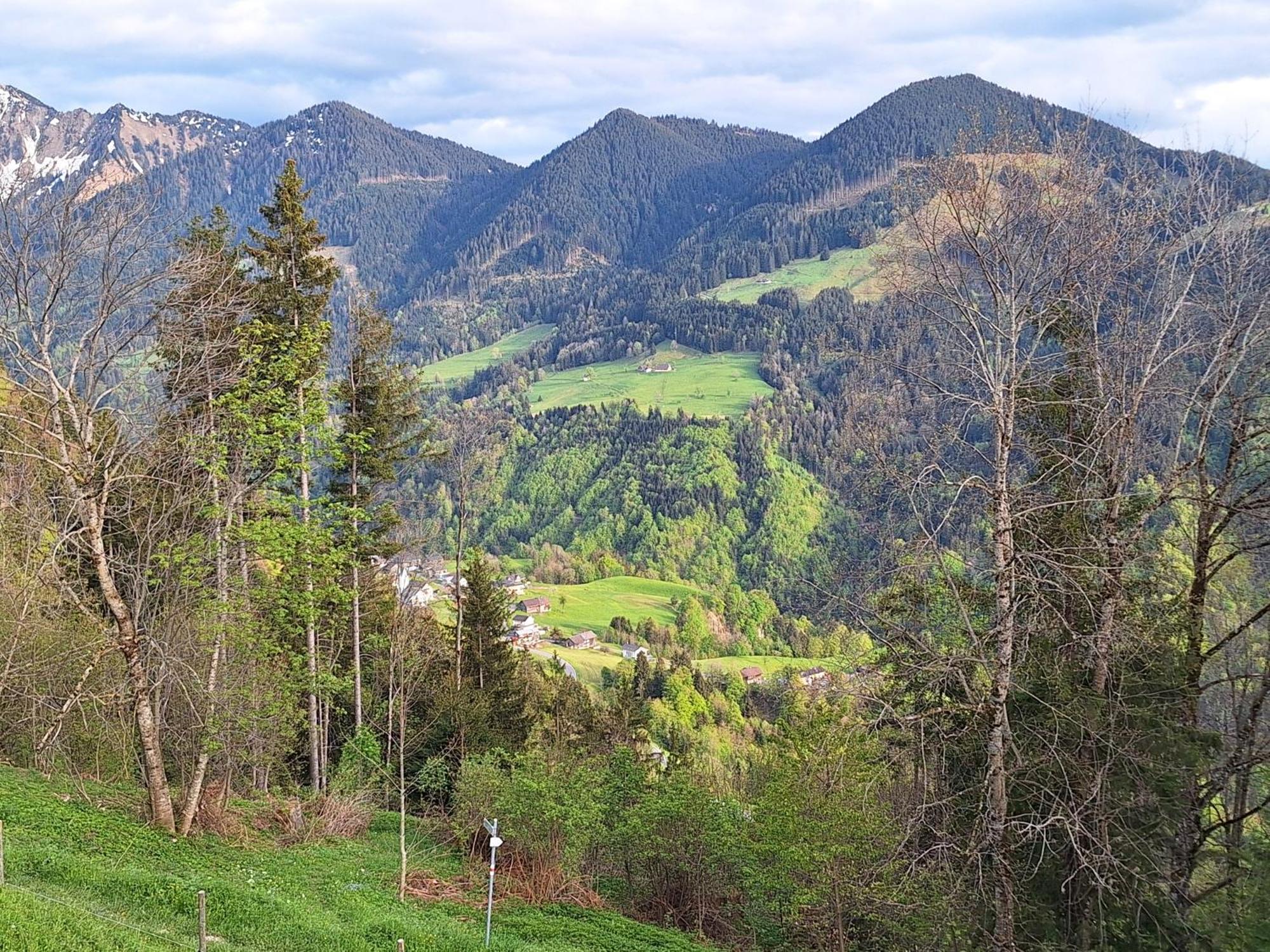 Apartment Rheintal Im Alpenvorland Batschuns エクステリア 写真