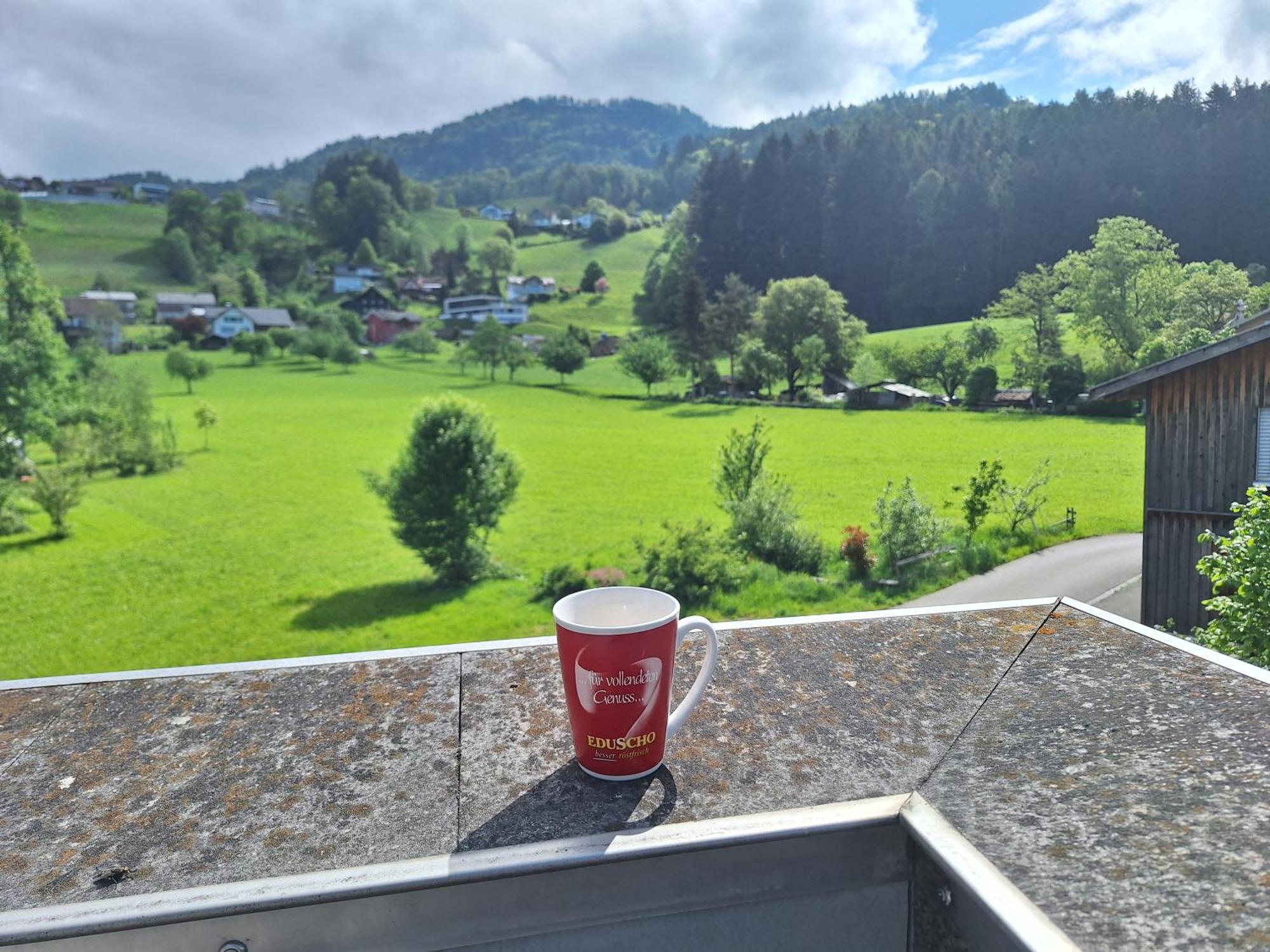 Apartment Rheintal Im Alpenvorland Batschuns エクステリア 写真