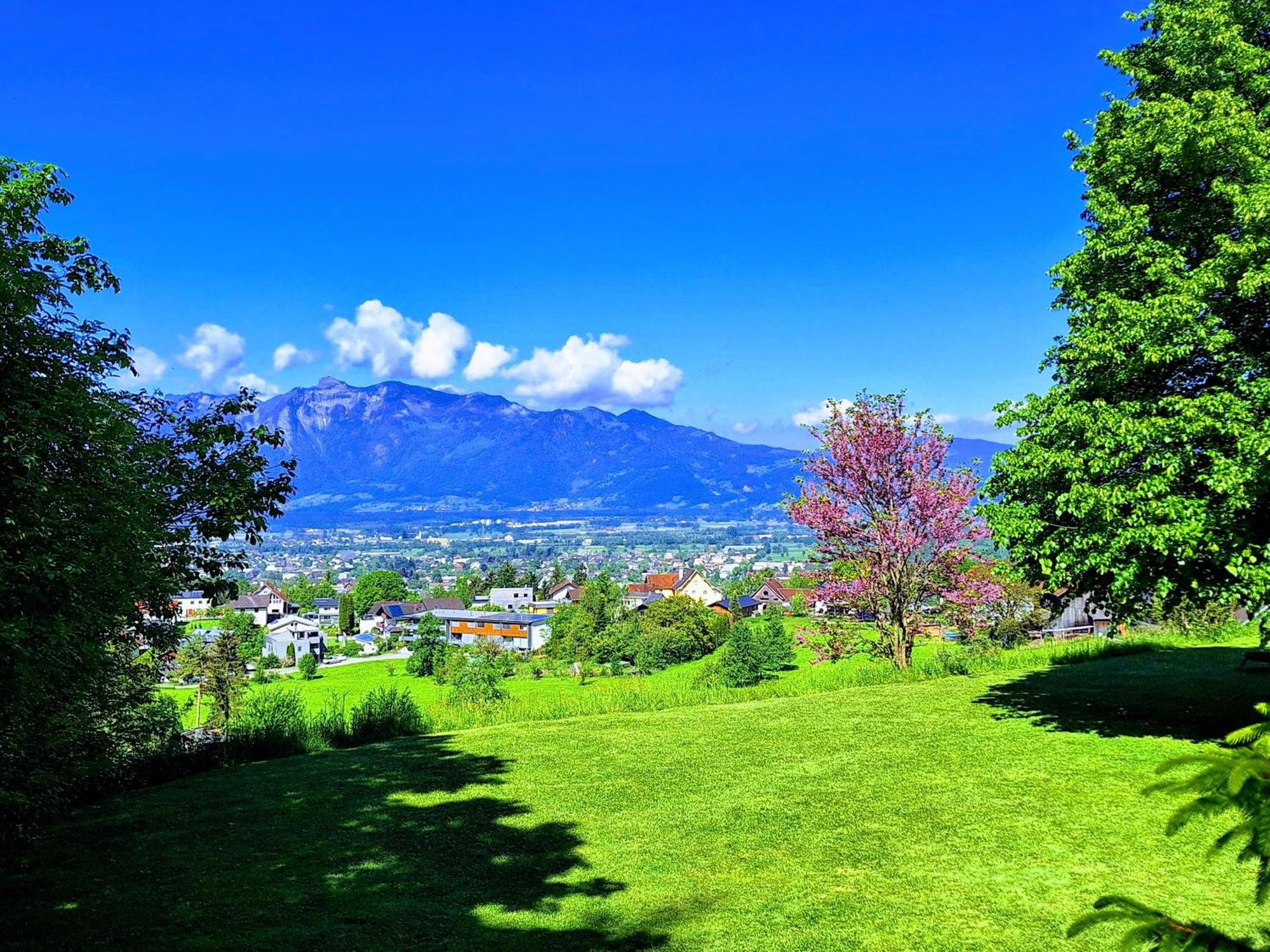 Apartment Rheintal Im Alpenvorland Batschuns エクステリア 写真